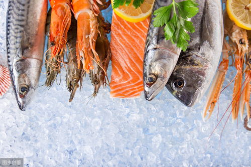 中国水产品购销网 连接产业链，激活水产品市场新动能