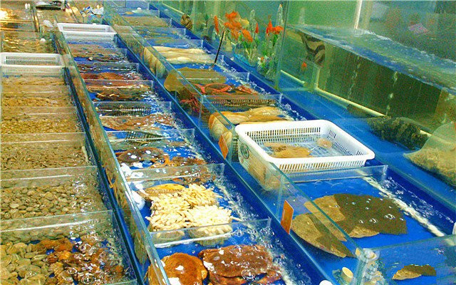 水产商行 水中珍馐的桥梁与守护者