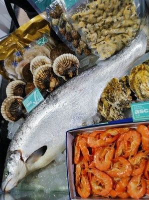 鲜生活--舌尖海味 沪上争鲜 水产品