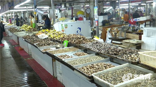 休渔期岛城水产品供应不断档 市民餐桌不受影响