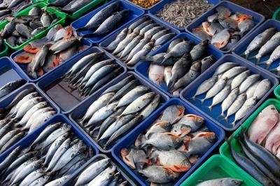 海鲜供应价稳量足——大连辽渔国际水产品市场采访记