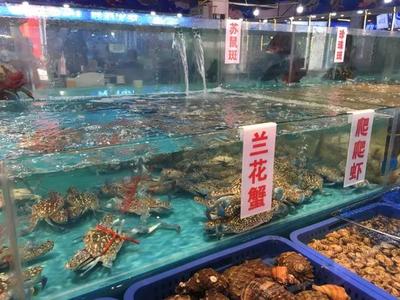 重庆新开海鲜市场的消费体验与理性消费思考