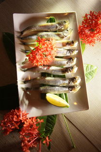 希菲旗舰店与蘑菇街优店 优质水产肉类与新鲜蔬果的完美融合