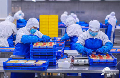 山东荣成 水产品出口加工忙，海洋经济扬帆远航